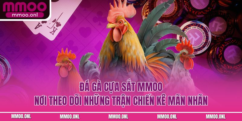 Đá Gà Cựa Sắt MMOO - Nơi Theo Dõi Trận Chiến Kê Mãn Nhãn