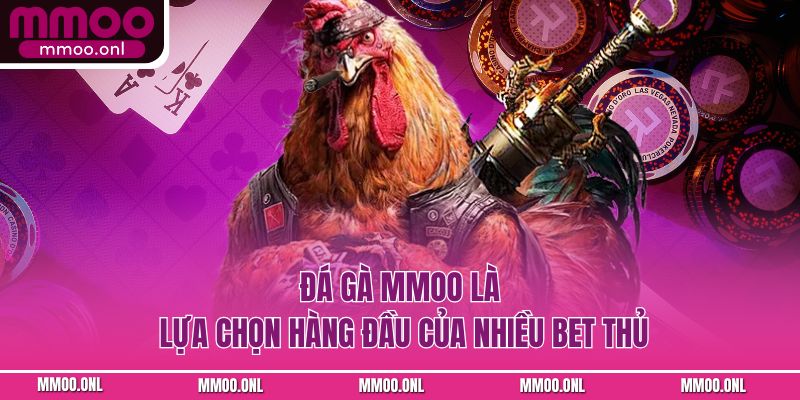 Đá gà MMOO là lựa chọn hàng đầu của nhiều bet thủ