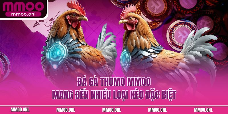 Đá gà Thomo MMOO mang đến nhiều loại kèo đặc biệt