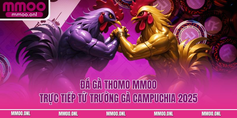 Đá Gà Thomo MMOO – Trực Tiếp Từ Trường Gà Campuchia 2025