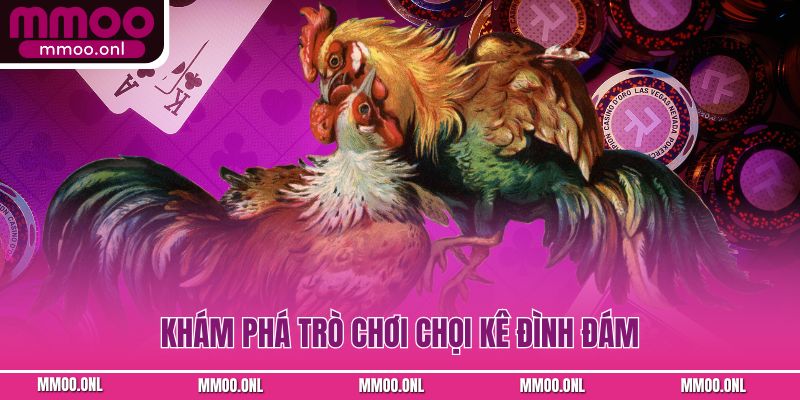 Khám phá trò chơi chọi kê đình đám
