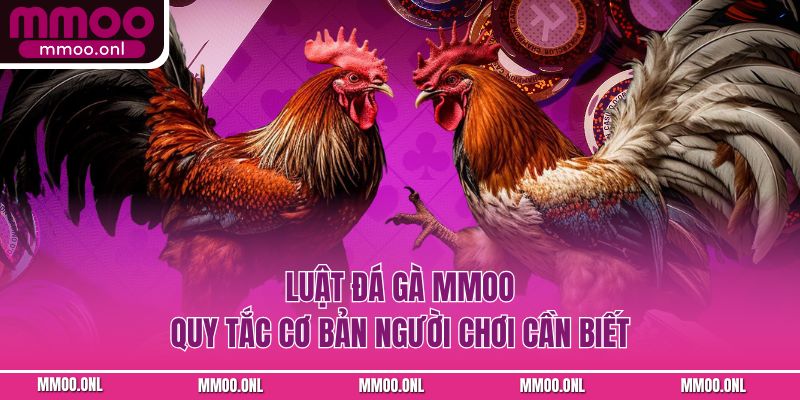 Luật Đá Gà MMOO - Quy Tắc Cơ Bản Người Chơi Cần Biết